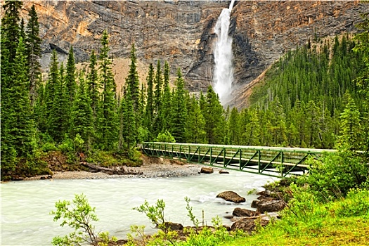 瀑布,幽鹤国家公园,加拿大