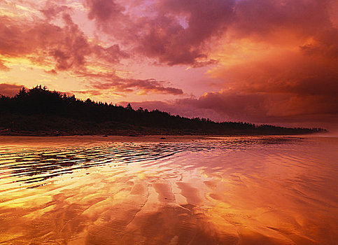长滩,环太平洋国家公园,温哥华岛,不列颠哥伦比亚省,加拿大