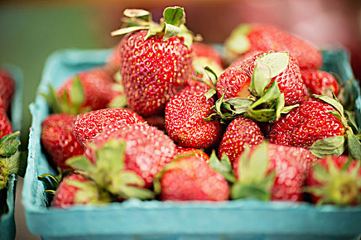 草莓,马里兰,美国