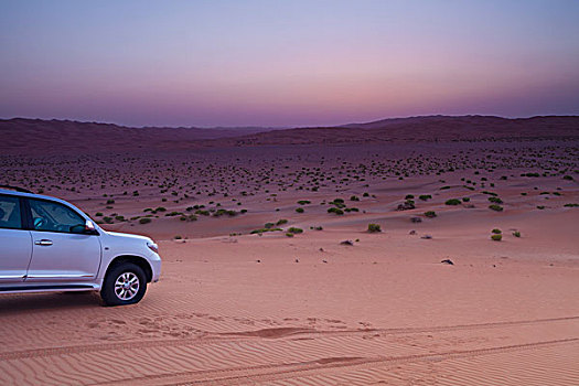 四轮驱动,交通工具,沙漠,绿洲,阿布扎比,阿联酋