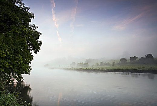 晨雾,堤岸,河,博伊奈,博伊奈谷,米斯郡,爱尔兰