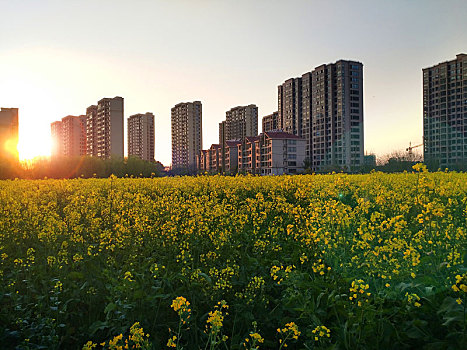 美丽乡村建设,集中居住