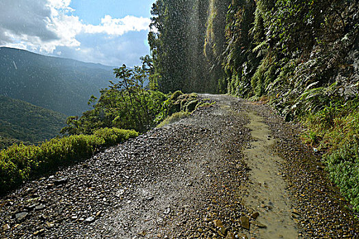 死亡,道路,玻利维亚,南美