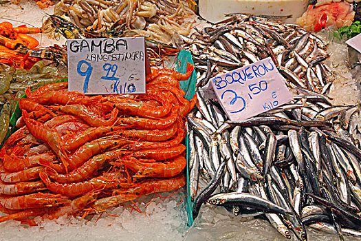 对虾,沙丁鱼,市场货摊,巴塞罗那,西班牙