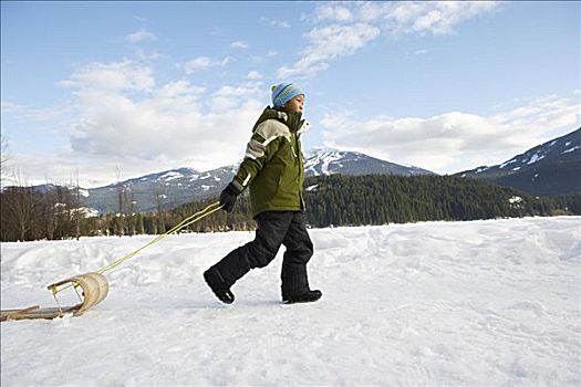 男孩,拉拽,雪橇,不列颠哥伦比亚省,加拿大