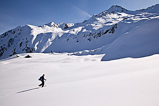 越野滑雪者,冬天,风景,阿尔卑斯山,提洛尔,奥地利,欧洲