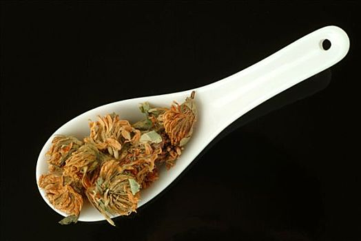 干燥,四叶草,花,草药,茶