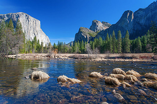 惊奇,国家公园,加利福尼亚,优胜美地