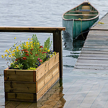独木舟,停泊,码头,湖,木头,安大略省,加拿大