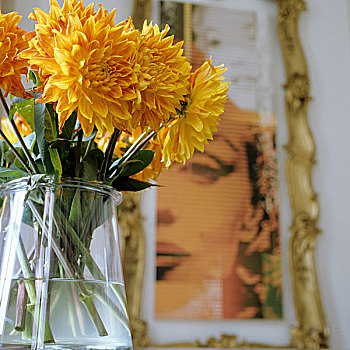 黄花,玻璃花瓶,女人,头像,墙壁