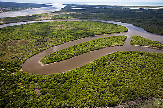 河,湾流,红树林,树林,南方,巴伊亚,巴西