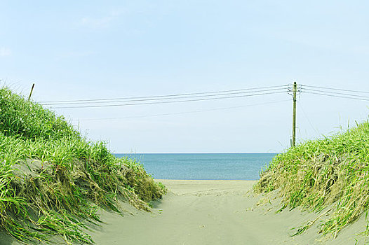 景色,海滩,电线杆