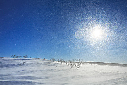 雪,北海道