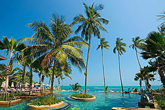 酒店,海滩,苏梅岛,岛屿,泰国,亚洲