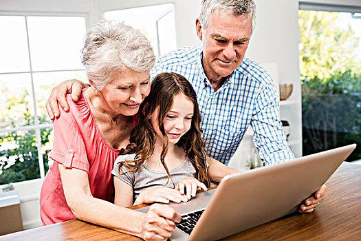 头像,微笑,祖父母,孙女,使用笔记本,在家