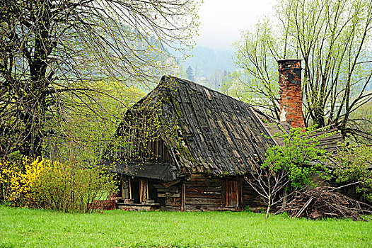 捷克共和国,北方,摩拉维亚,房子,屋顶,山,背景
