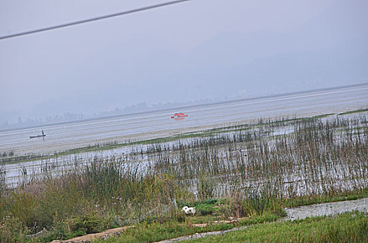 贵州草海风光,威宁,草海,木船,栖息地,海,淡水湖,渔船,湖水,湖泊,湿地,湿地高原,秋色,船只,草,贵州风光,风光,高原湖泊,黑颈鹤,国家一级保护鸟类,鸟类,海鸟,花海