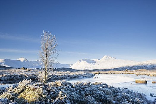 冰冻,湖,兰诺克沼泽,苏格兰