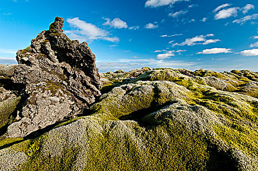 火山岩,繁茂,长,靠近,城镇,区域,瑟德兰德,冰岛,欧洲