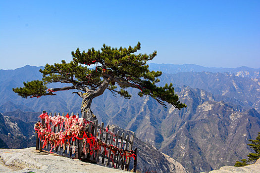 华山春日盛景