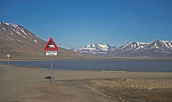 标识,北极熊,通行权,靠近,朗伊尔城,斯匹次卑尔根岛,北极,挪威,欧洲