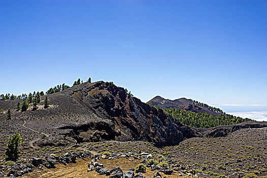 火山口,小路,火山,路线,自然公园,帕尔玛,加纳利群岛,西班牙,欧洲