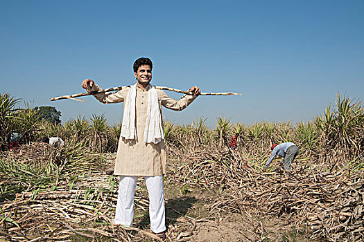 农民,站立,印度
