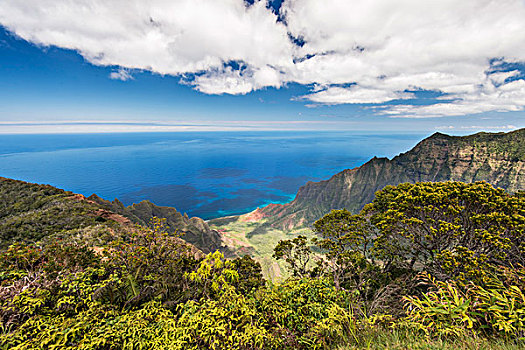 夏威夷,考艾岛,寇基,州立公园,风景,卡拉拉乌谷,暸望,大幅,尺寸