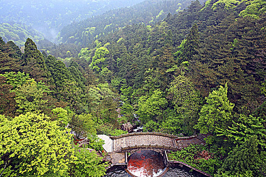 江西庐山原始森林