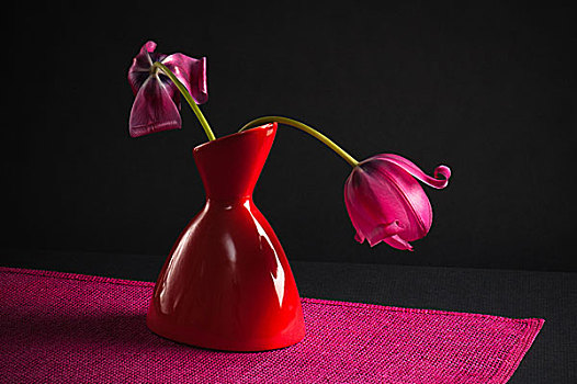 粉色,郁金香,花瓶,黑色背景