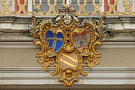 外套,手臂,城堡,布胡斯塞,宫殿,住宅,巴登符腾堡,德国,欧洲