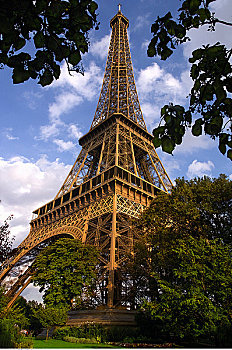 埃菲尔铁塔,树,天空,巴黎,法国