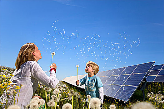 母亲,儿子,太阳能电池板