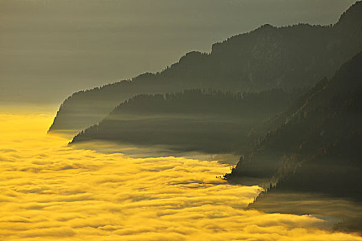黎明,上方,云,山,阿尔卑斯山,伯尔尼,瑞士