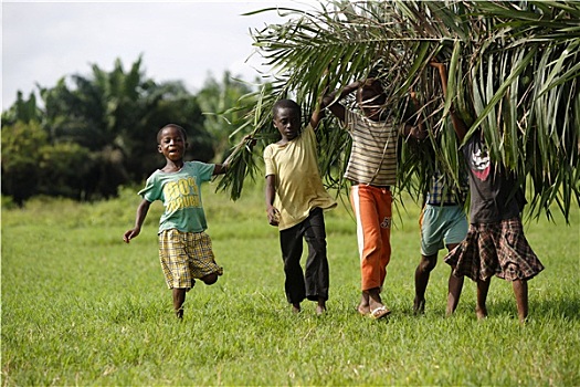 非洲,儿童,帮助,棕榈叶