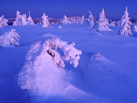 冬天,山脉,防护,风景,区域,北方,摩拉维亚,捷克共和国,中欧
