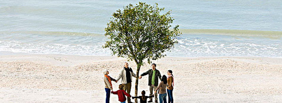 群体,握手,圆,孤树,海滩