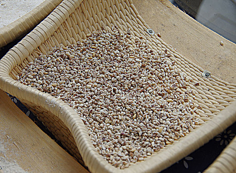 麦粒和面粉
