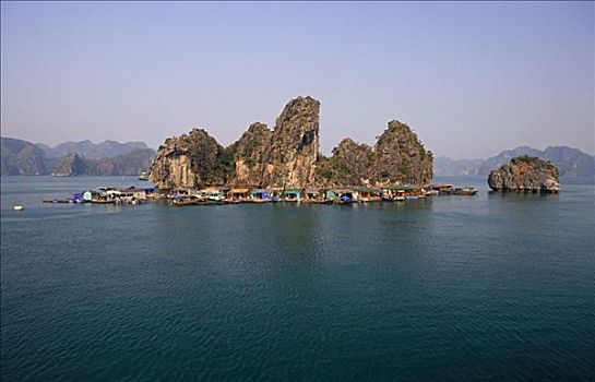 漂浮,渔村,湾,国家公园,越南
