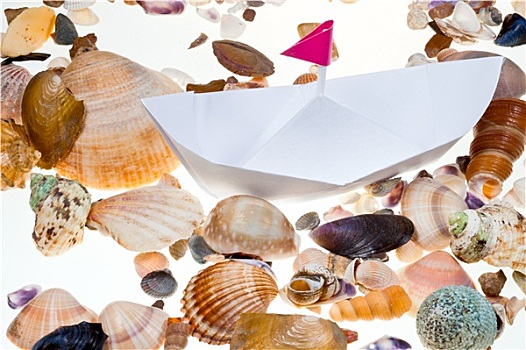 纸船,背景,海螺壳