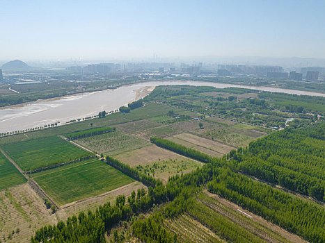 济南鹊山龙湖湿地