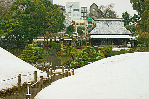 雪,秋天,花园,熊本,日本