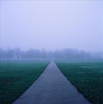 公园,薄雾