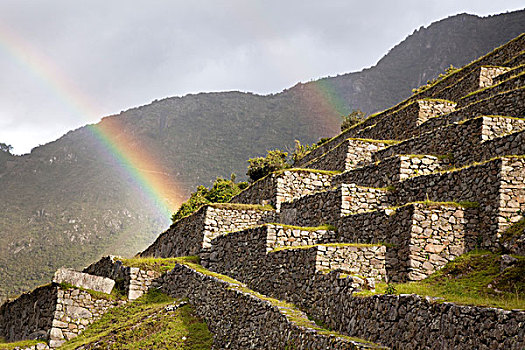 南美,秘鲁,马丘比丘,彩虹,上方,农业,梯田,世界遗产
