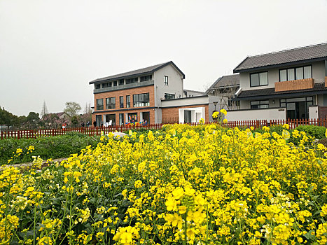 美丽乡村建设,集中居住