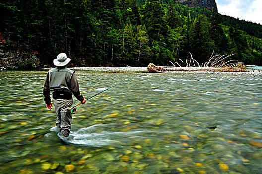 男人,飞钓,院长,河,不列颠哥伦比亚省,加拿大
