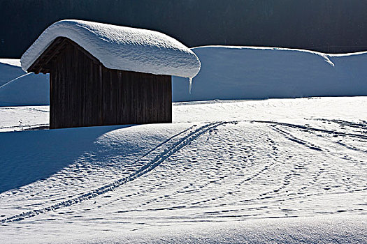 阿尔卑斯小屋,雪中,南蒂罗尔,意大利,欧洲