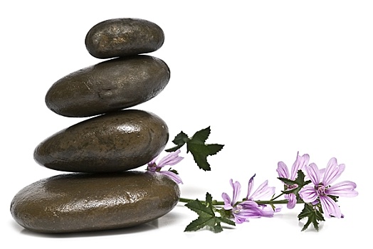 紫红色,花,禅,平衡,石头