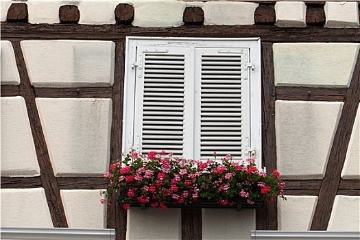 窗户,房子,阿尔萨斯,法国