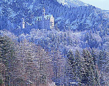 皇家,城堡,新天鹅堡,巴伐利亚,德国